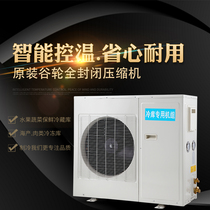 Factory direct sales cold storage equipment fresh-keeping freezer refrigeration unit Meat fruit and vegetable freezer all-in-one machine