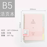 Pink-B5/горизонтальная линия 60 страниц