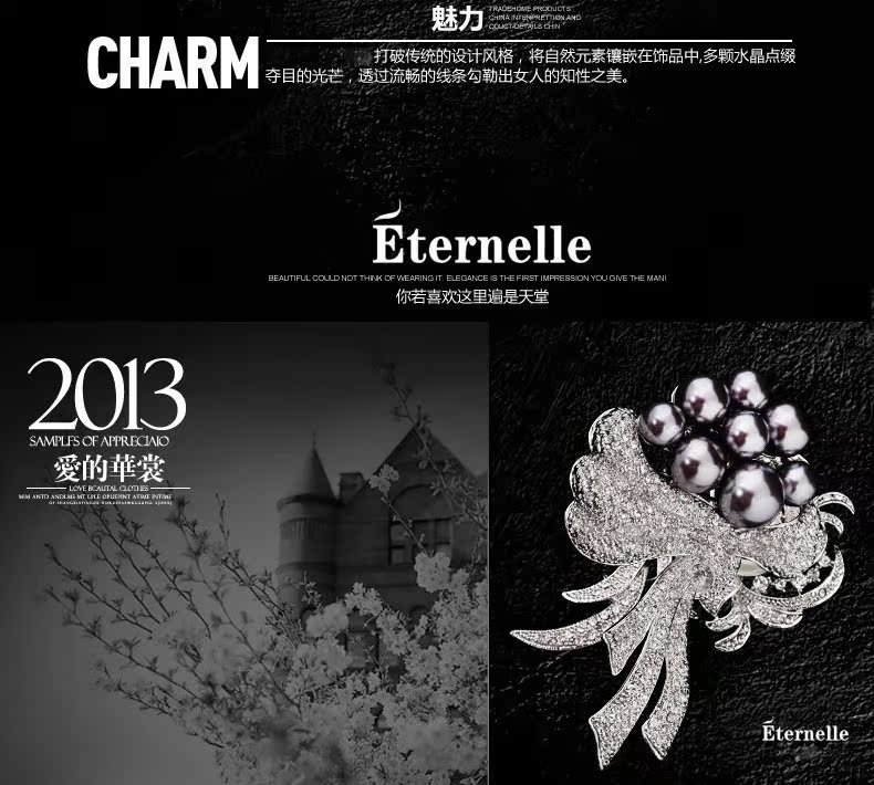 Broche femme ETERNELLE en cristal autrichien - Ref 1174202 Image 20