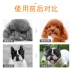 Kem dinh dưỡng thú cưng teddy Golden retriever dog cat beauty lông bột bổ sung canxi cao chó con chó mang thai dinh dưỡng 120g - Cat / Dog Health bổ sung