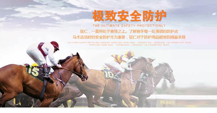 Article sports equestres - Ref 1381366 Image 9