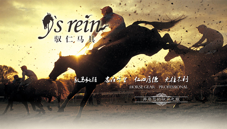 Article sports equestres - Ref 1381190 Image 9