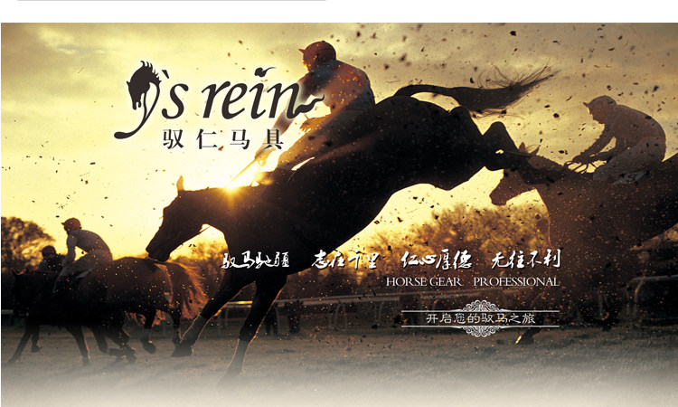 Article sports equestres - Ref 1383223 Image 7