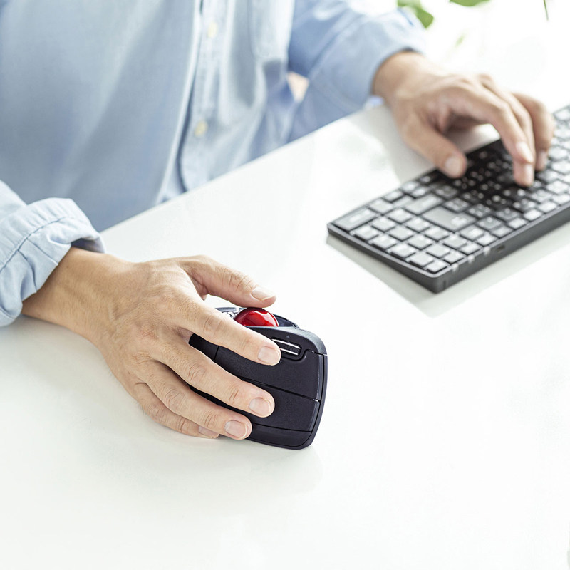 Japan SANWA MUTE TRACKBALL Mouse Ergonomics Computer Home Office Business 2 4G Vertical Finger Slide Rat Drawing CAD Drawing PS Designer Toning Precision Desktop Notebook