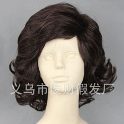 Extension cheveux - Chignon - Ref 240976 Image 13