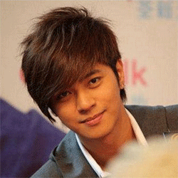 Extension cheveux - Chignon - Ref 240976 Image 12