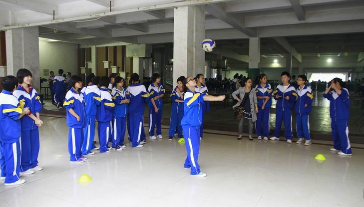 Xác thực Shiba kiểm tra bóng chuyền cứng đặc biệt học sinh tiểu học và trung học phổ thông thi đào tạo bóng chuyền cứng chống mài mòn đặc biệt 	lưới bóng chuyền da	