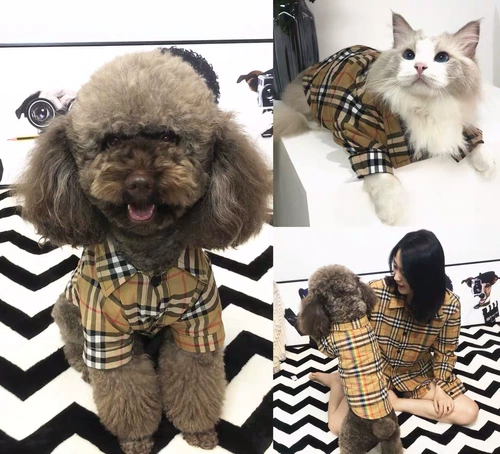 Радужная рубашка, летний шнурок-держатель, популярно в интернете