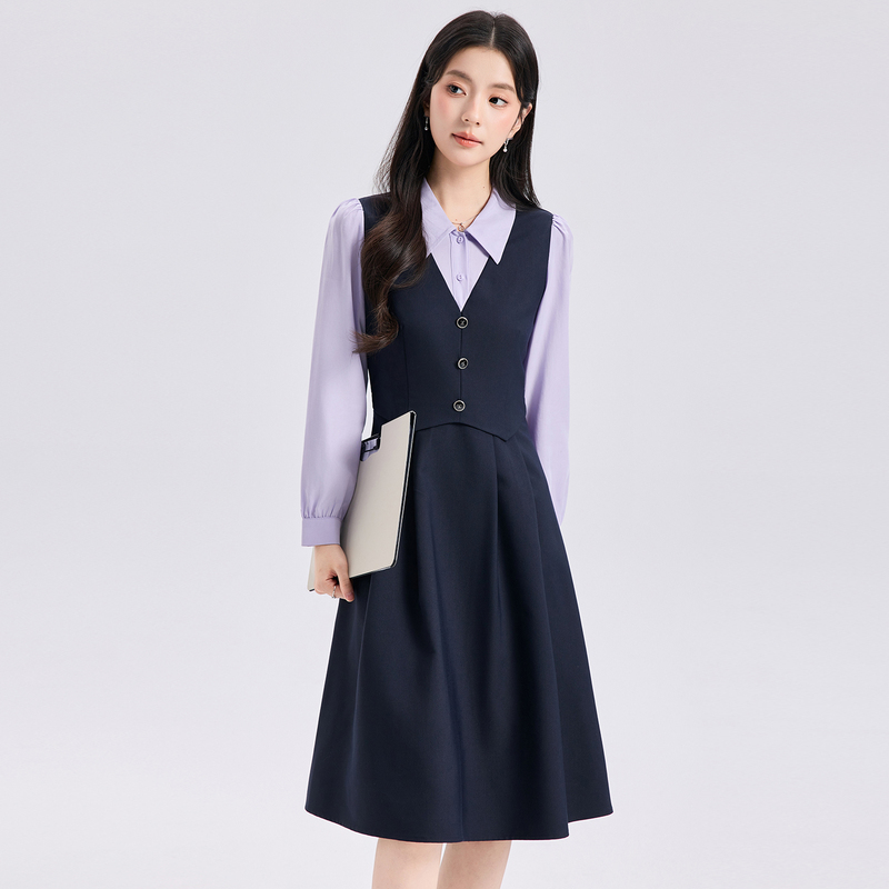 Vest Dress for Women, College Style, Casual, High-End Feel, Petite Interview Outfit, A-Line Skirt, Shirt Set Dress