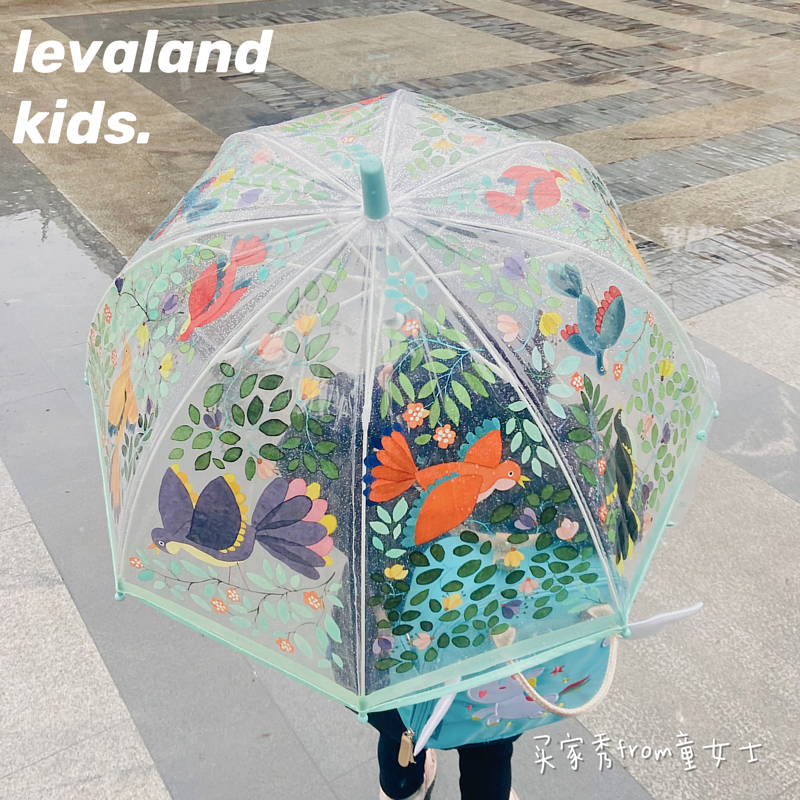 French djeco children transparent umbrella color discoloration elementary school kindergarten is lovely light and long umbrella 3 - 8 years old
