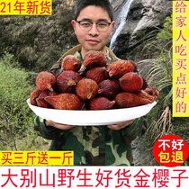 Dabel Hill picks gold cherry wild fresh pear dry pear to seed foam wine material 500g