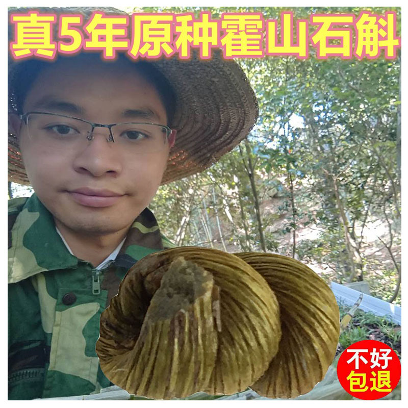 Original 5-year-old special selection Huoshan Dendrobium Dendrobium powder Maple bucket fresh strips to send Dendrobium flowers