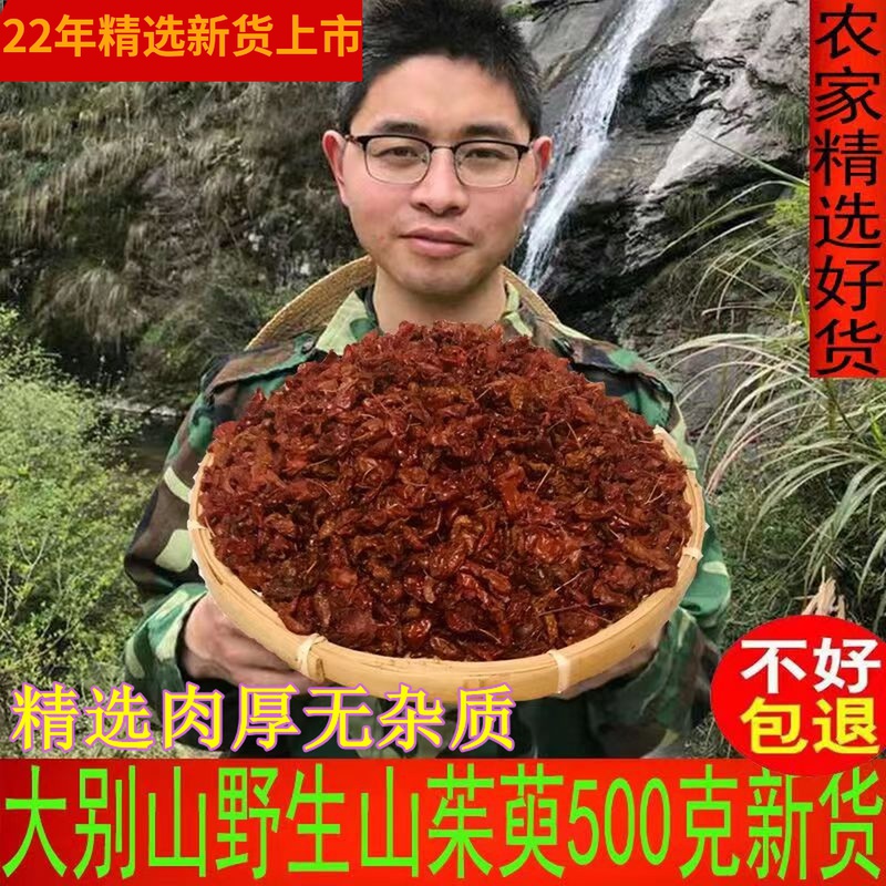 Dogwood 500g wild Chinese medicinal herbs Fresh dogwood meat Dogwood dried new dried fruit sulfur-free jujube peel