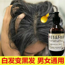 Dream fish wild Polygonum multiflorum Nourishing Shampoo lotion cream black hair anti-itching black hair hair anti-stripping oil control oil