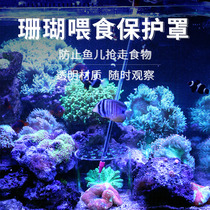 Fish color multifunctional coral feeder feeding cover breeding protection acrylic feeding tube to prevent snatching fish