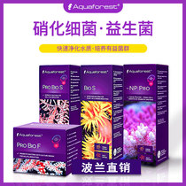Purple Forest Aquaforvest Nitrates Bacteria Polish Probiotic Growth Agents Coral Sea Water Cylinder AF Ornamental Cylinders