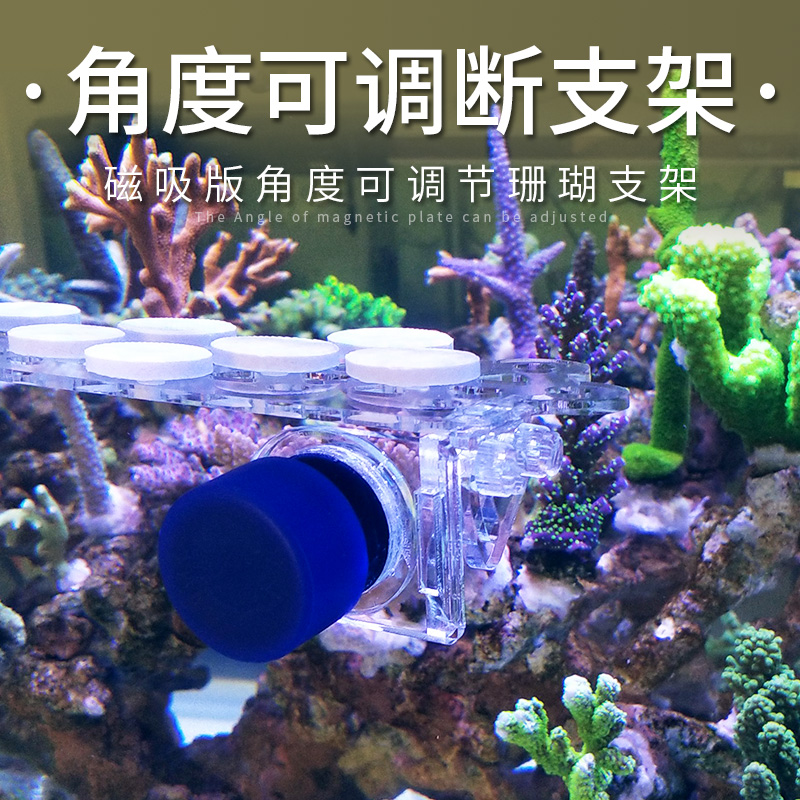 Fish color magnetic suction coral sea water SPS button broken limb frame broken branch broken branch frame coral frame angle adjustable bracket