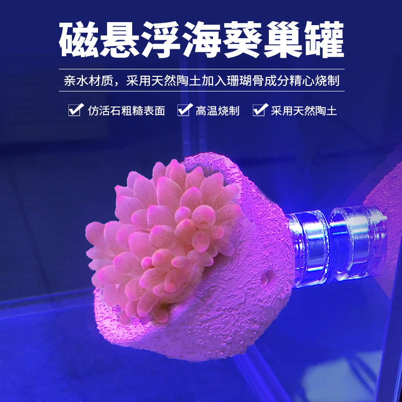 Sea anemone container emperor sea anemone nest pacifier anti-running artifact pacifier nest cup carpet house nest pacifier cup sea anemone