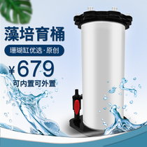 Fish color high algae cultivation barrel God bucket seawater coral tank ats uas high algae barrel removal no3po4