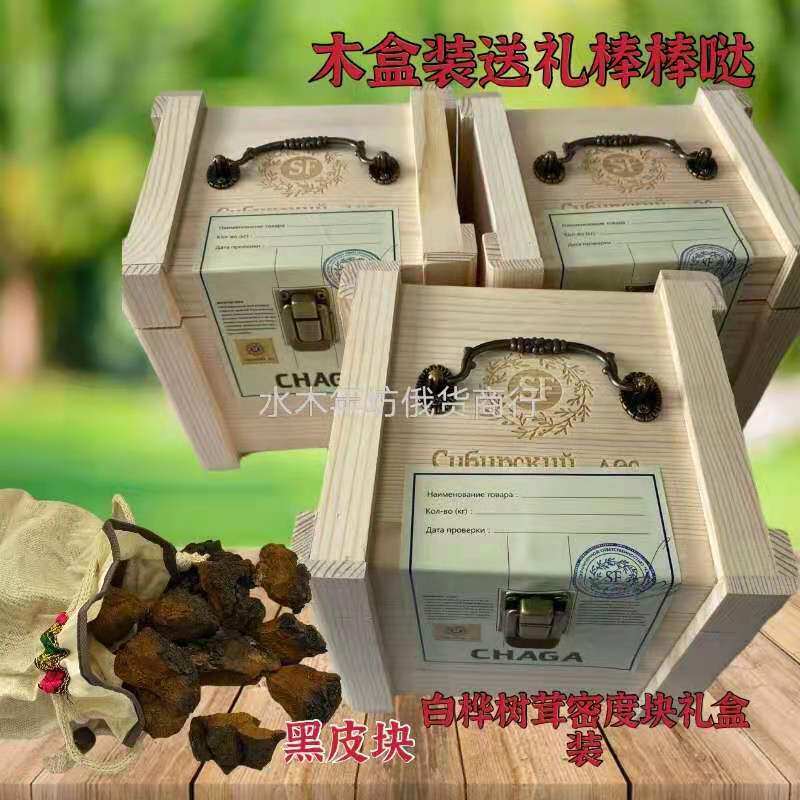 Wild birch tree furry Russian imported natural white birch birch tree tears delivery wood barrel gift box for birch brown pore fungus