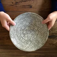 Spot L Drive (модель A)