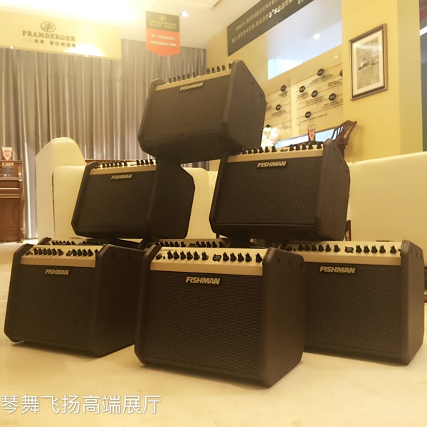 Fisherman Fishman Loudbox mini wood guitar speaker 60W ballad soundtrack sound