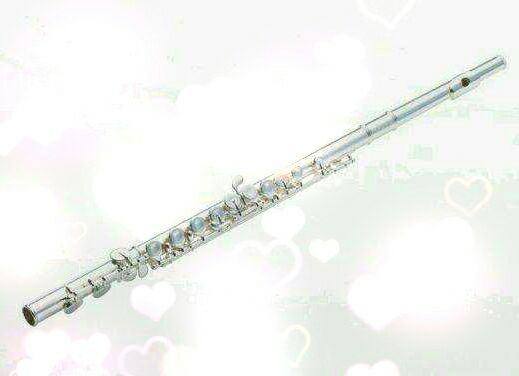 West Seventeen hole drilled flute French keys Imported gasket Little two is not in the selfie Thank you