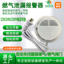 Wired Networked Gas Alarm Suction Top Gas Probe Natural Gas Sensor Combustible Gas Leak Detector