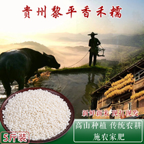 2023 Nouveau riz Riping parfumé et glutineux Guizhou terrasses alpines anciennes variétés Nouveau riz glutineux qualité du riz glutineux riz glutineux 5 catties