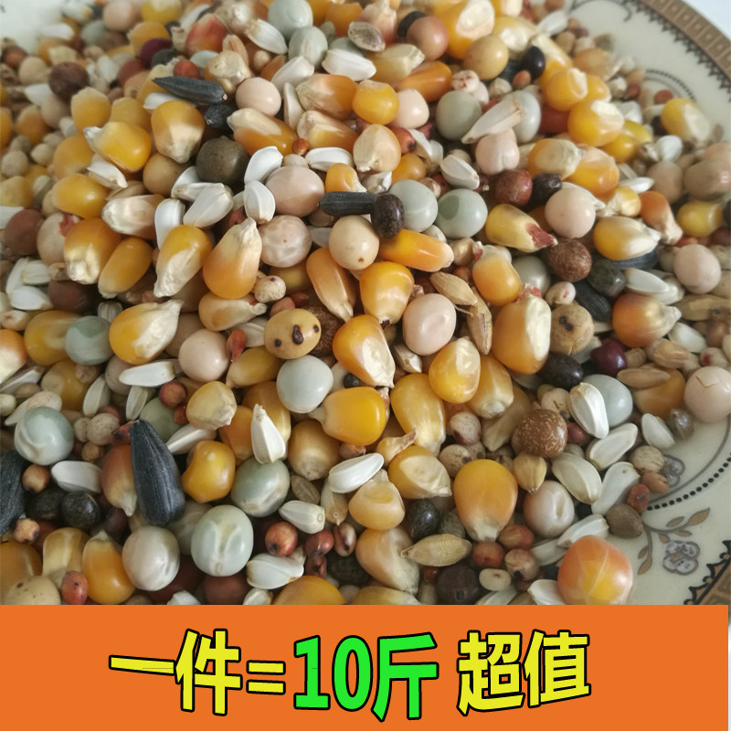 Racing pigeon food racing pigeon feed has corn high-energy carrier pigeon ornamental nutritional grain bird food 10 catties