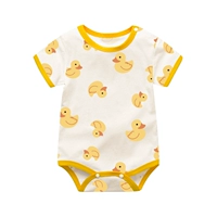 Двенадцатиперстная кишка