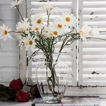 Mini lotus leaf mouth glass vase transparent flower arrangement glass bottle living room table decoration hydroponic simple home decoration