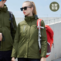 Военные зеленые женщины (798)