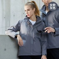 Серые женщины (798)