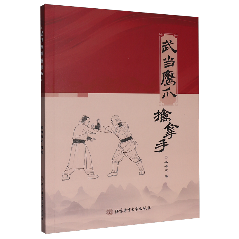 葉問詠春拳套路完全圖解小念頭尋橋標指及木人樁詠春拳書籍博庫網人民