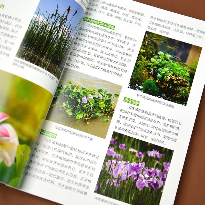 水生植物图鉴》：116种水生植物的秘密大公开！-植物-淘宝好物网