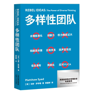 多样性团队 马修 萨伊德著 团队管理 正确决策快速反应和应对自我修正把多维思考力变成团队生产力 携程梁