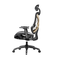 Yongyi lumbar chair