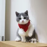 Удерживающий тепло праздничнный трикотажный милый шарф