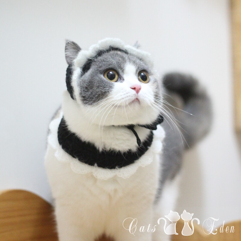 Pet cat maid hat collar set collar fake collar lace hat scarf photo dress up