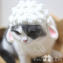 Little Sheep Pet Sheep Knitted Hat Cat Headgear British Short Garfield Cat Cross-dressing Hat Ragdoll Chinchilla Cat Hat