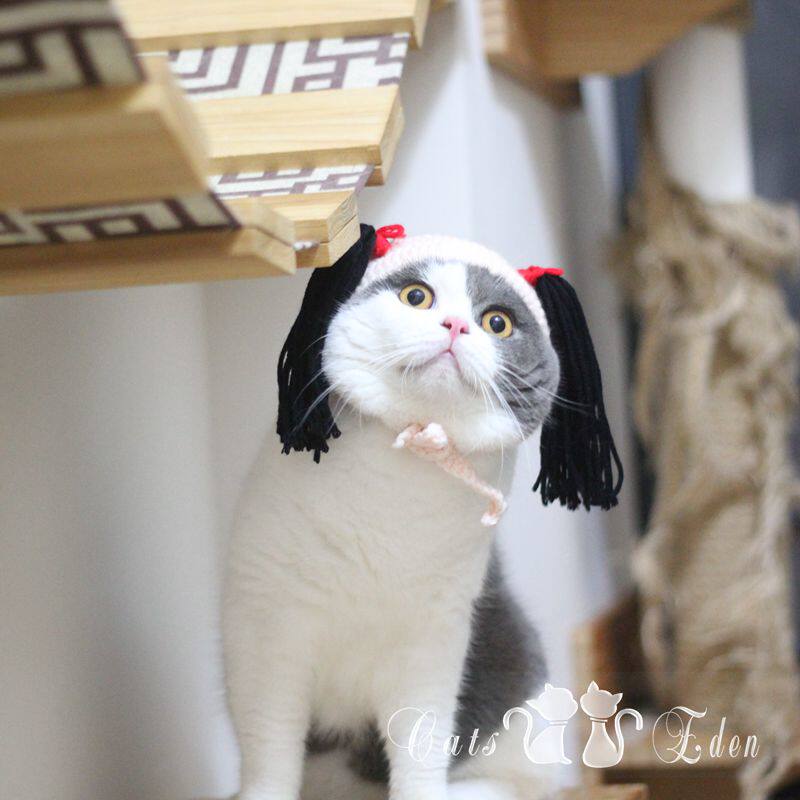 Pet cat shake sound Net red double horse tail braid hat cat funny funny and funny handmade knitted headgear