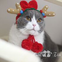 Pet dog and cat cross-dressing Christmas antler flower fairy hat pet cat teddy headdress handmade antler hat