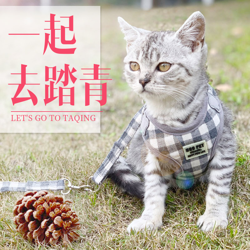 Walk Cat Rope Cat Rope Cat Rope Kitty Special God Instrumental Out of Traction Rope Anchor Chain Cat exclusive Cat Rope Cat Chain Neckline