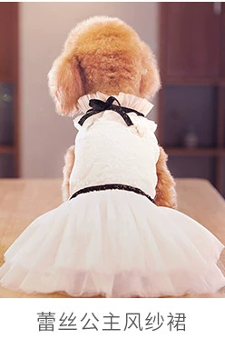 Puppy Dog Vest mùa hè Thin Teddy Bear Xiong Bomei Biến hình nhỏ Quần áo Puppy nhỏ Pet Dress Summer - Quần áo & phụ kiện thú cưng áo cho chó lớn