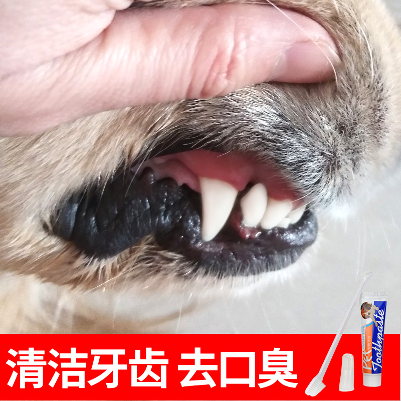 Pooch Toothbrush Toothpaste Suit Fingertips Gold Hair Special Cleaning Edible Teddy Deodorant Dog With Pet Supplies