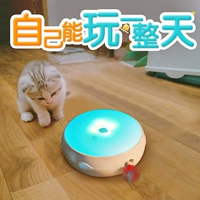 Игрушка, автоматический электрический пончик, кот