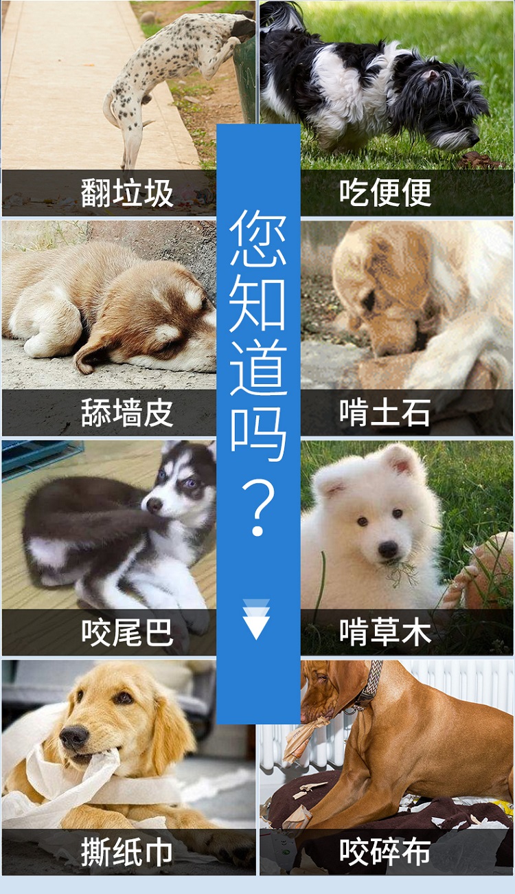 Gu Đặng nguyên tố viên thuốc con chó cưng Chihuahua mèo chống thực phẩm chăm sóc tóc - Cat / Dog Health bổ sung sữa cho chó con mới đẻ