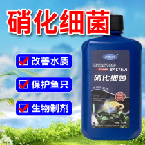 Nitrochemical Bacteria Fish Tank Special Net Aqua Fish Medicine Fish Purifying Water Quality Stabilizer Gold Fish Aquatic Digesting Live Bacteria