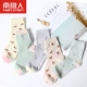 Vớ Nam Cực vớ nữ cotton trắng tinh khiết Hàn Quốc dễ thương vớ miệng nông trong vớ ống Phiên bản Hàn Quốc của mùa thu gió